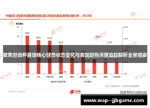 聚焦世俱杯赛场核心球员状态变化与表现趋势深度追踪解析全景观察 聚焦世俱杯赛场核心球员状态变化与表现趋势深度追踪解析全景观察