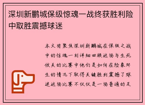 深圳新鹏城保级惊魂一战终获胜利险中取胜震撼球迷